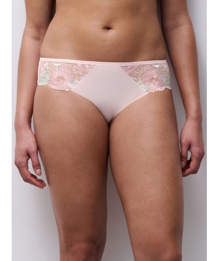 Slip Day Dream rose